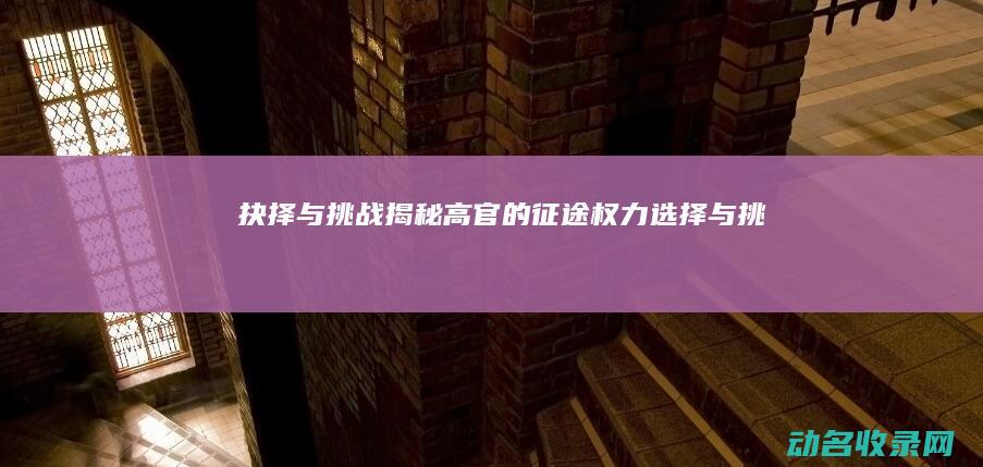 抉择与挑战 揭秘高官的征途 权力 (选择与挑战)